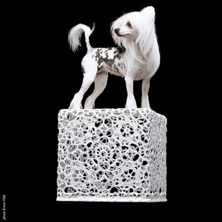 Moooi Crochet small Table handmade crochet cotton - Buy now on ShopDecor - Discover the best products by MOOOI design